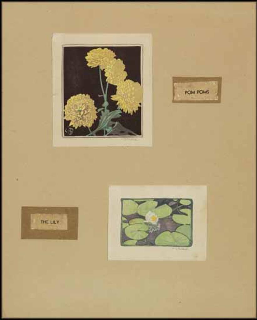 Walter Joseph (W.J.) Phillips (1884-1963) - Two Works: The Lily and Pom Poms
