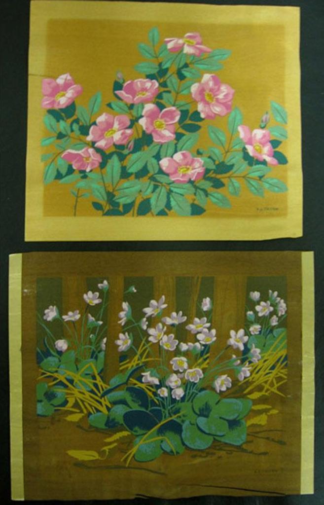 Alfred Joseph (A.J.) Casson (1898-1992) - Wildflowers