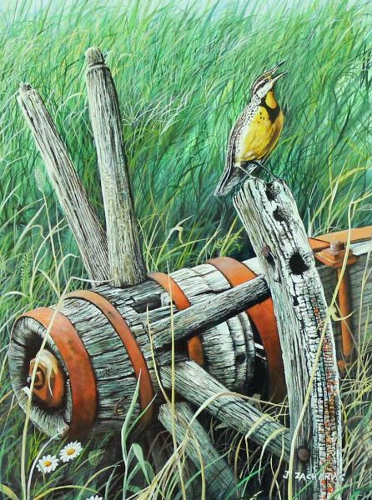 John Zacharias (1944) - Western Meadowlark