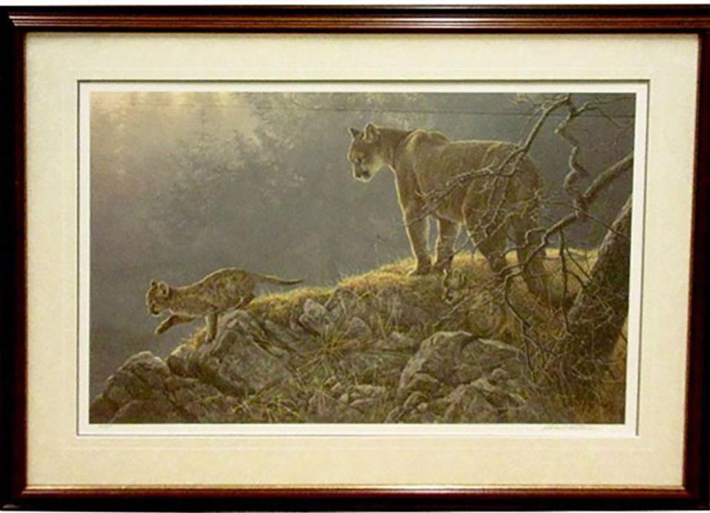 Robert Mclellan Bateman (1930-1922) - Excursion - Cougar And Kits