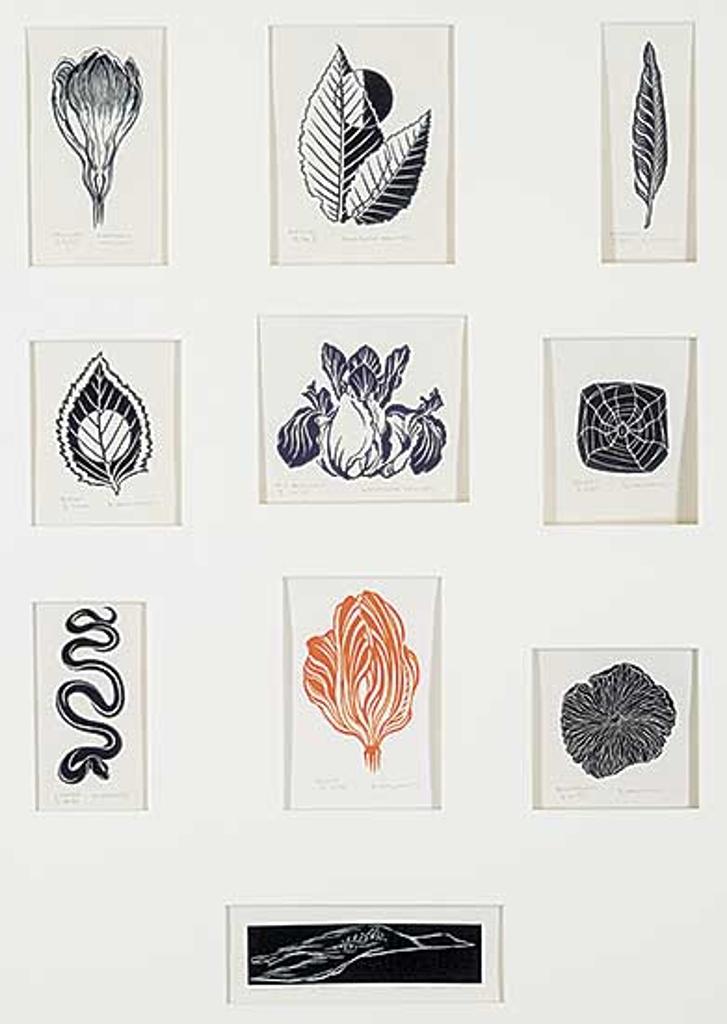 Helen Barbara Howard (1926-2002) - Untitled - Forest Fauna Collection