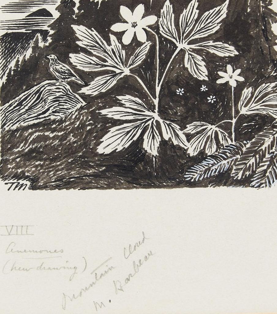 Thoreau MacDonald (1901-1989) - Anemones; Mountain Cloud