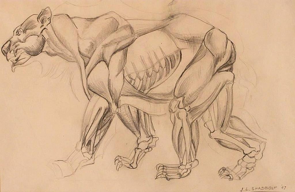 Jack Leaonard Shadbolt (1909-1998) - BEAR graphite on
