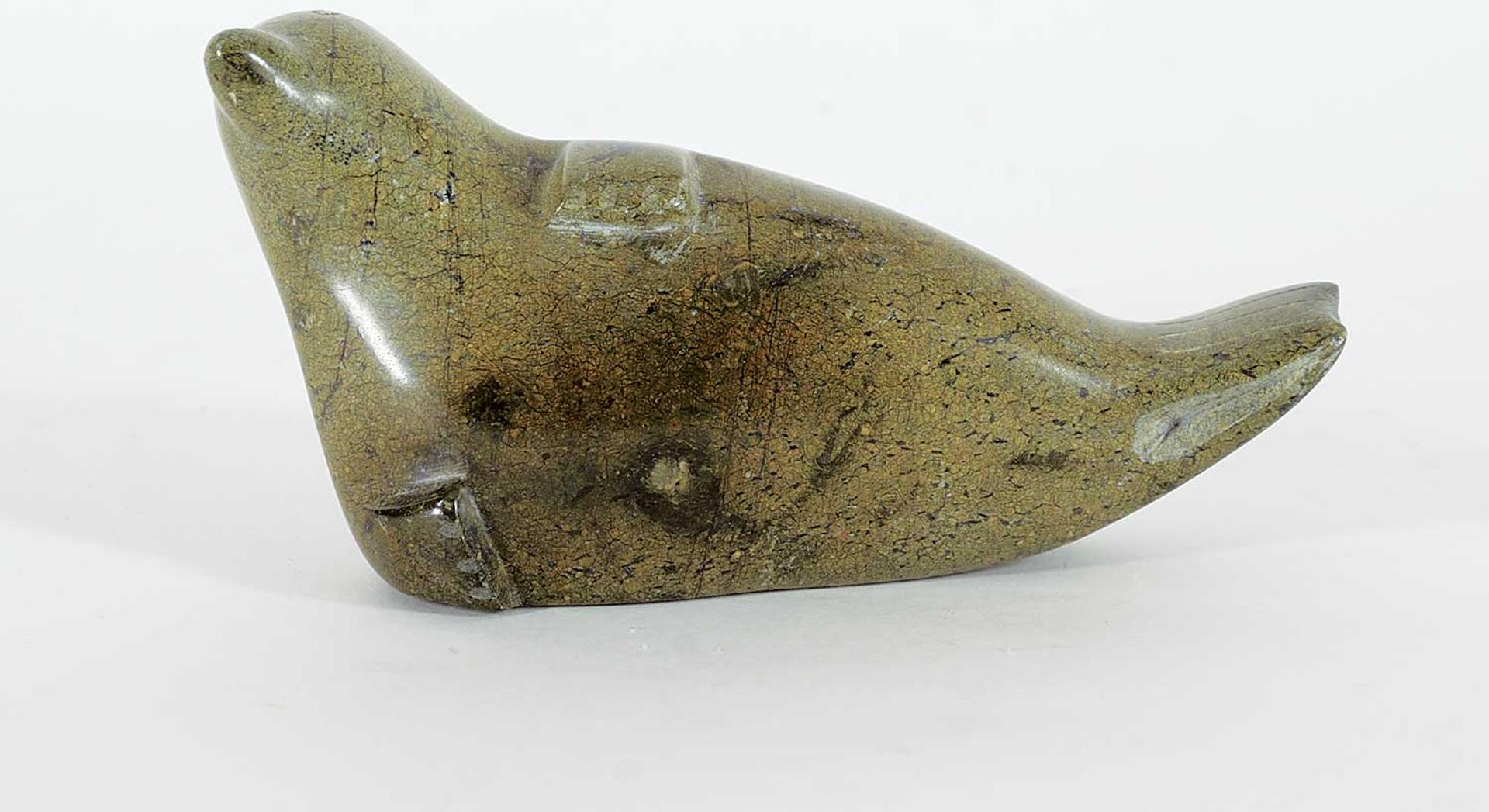 Marysa Kolola - Seal
