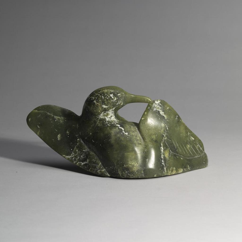 Nuna Parr (1949) - Preening Bird