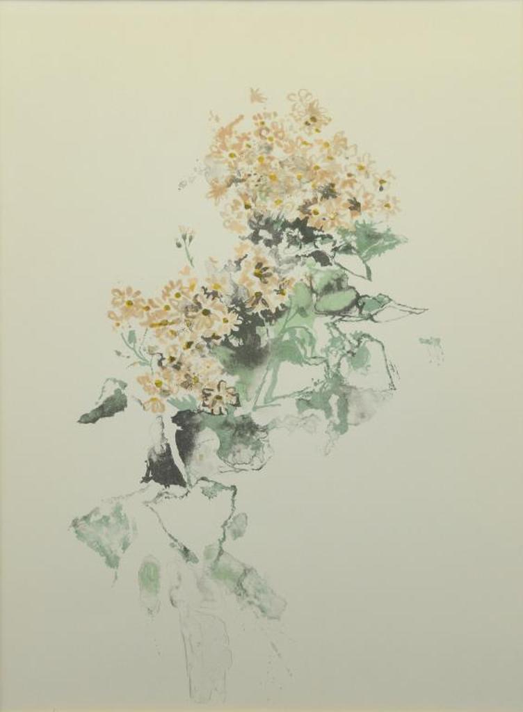 Molly Joan Lamb Bobak (1922-2014) - Pink Cineraria