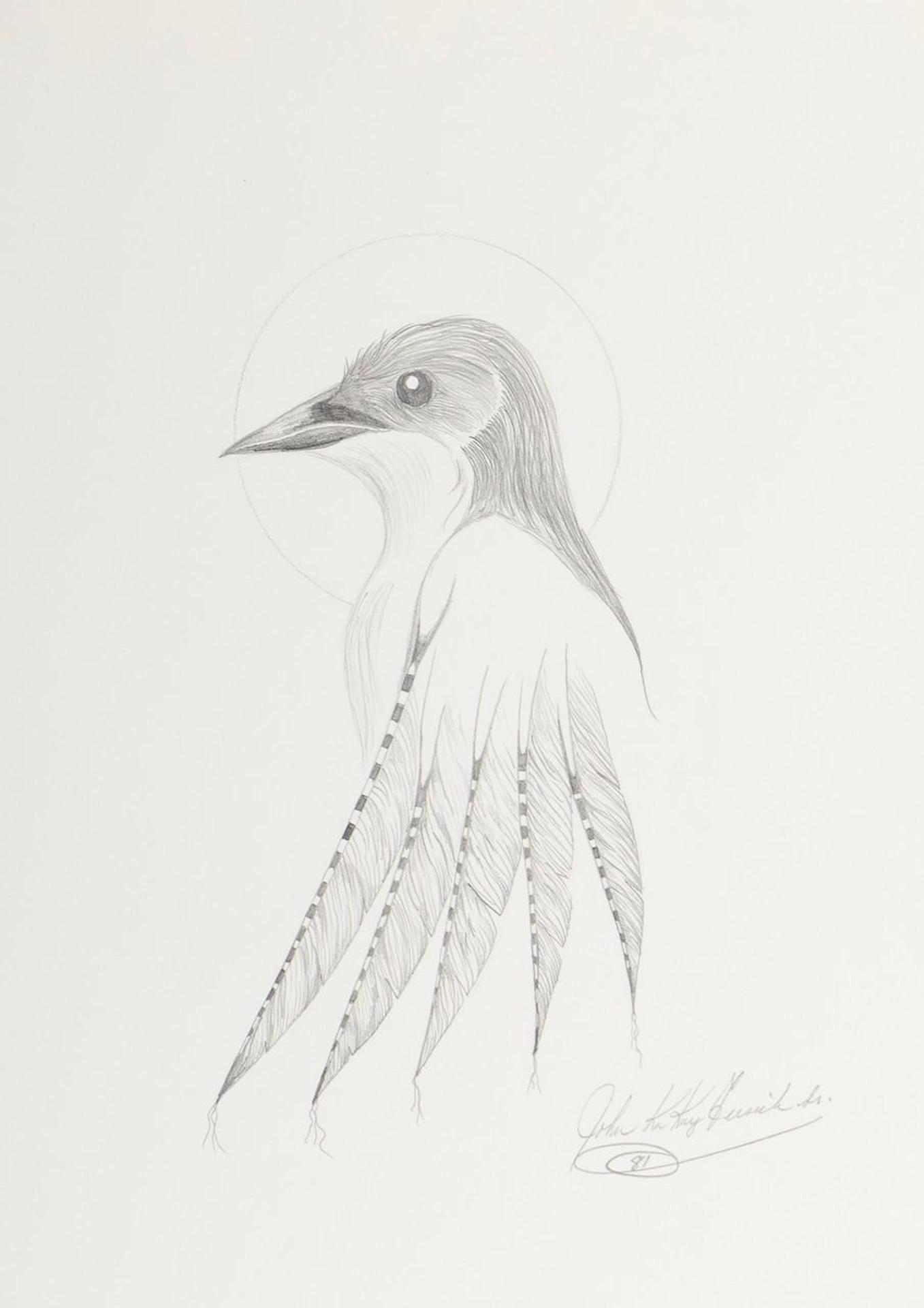 John Kakaygeesick - Robin