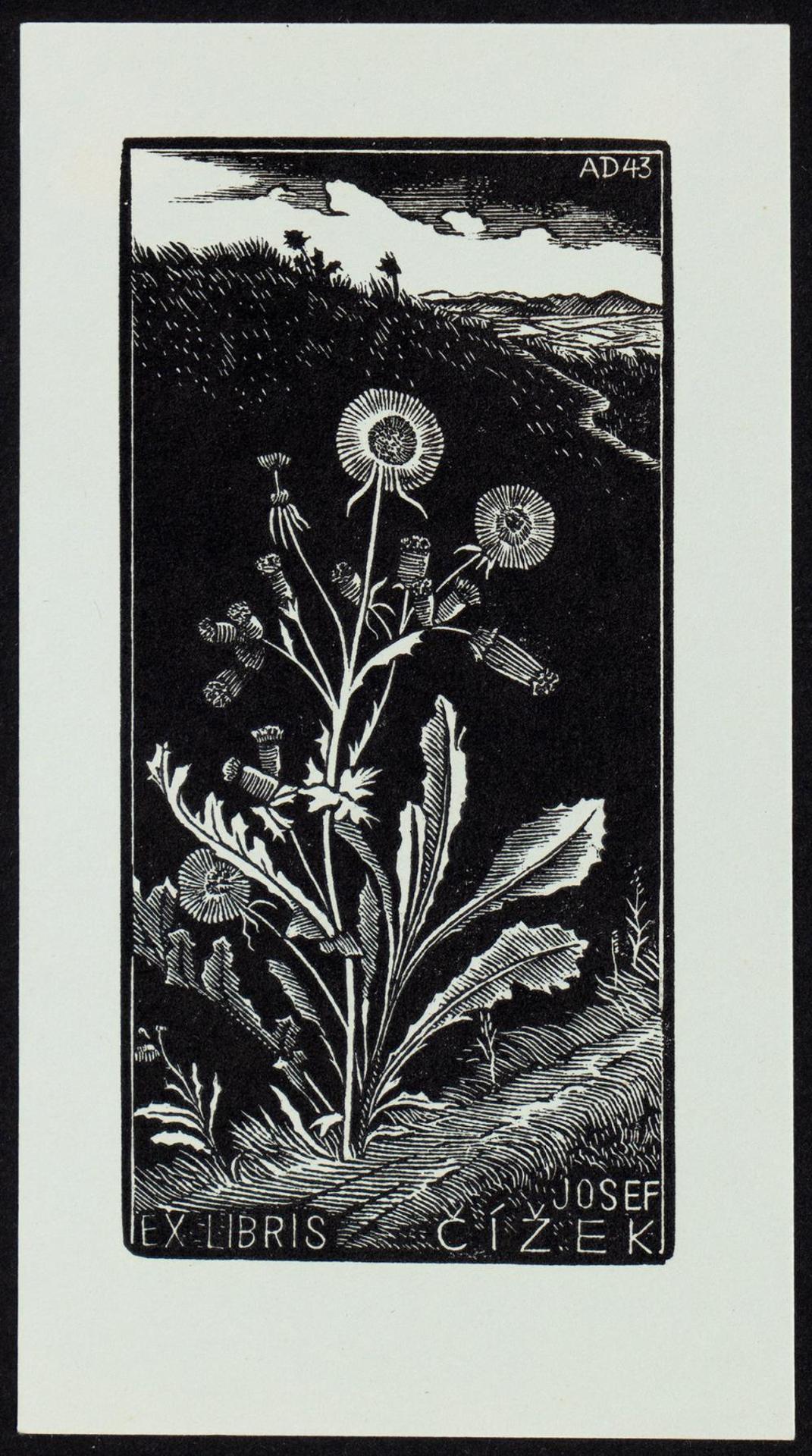 Antonin Dolezal (1910-1968) - Untitled - Wildflowers