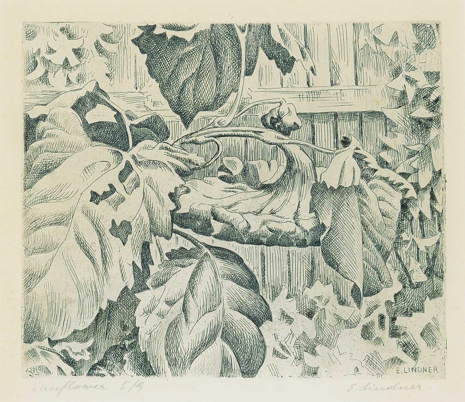 Ernest Friedrich Lindner (1897-1988) - Sunflowers #5/9