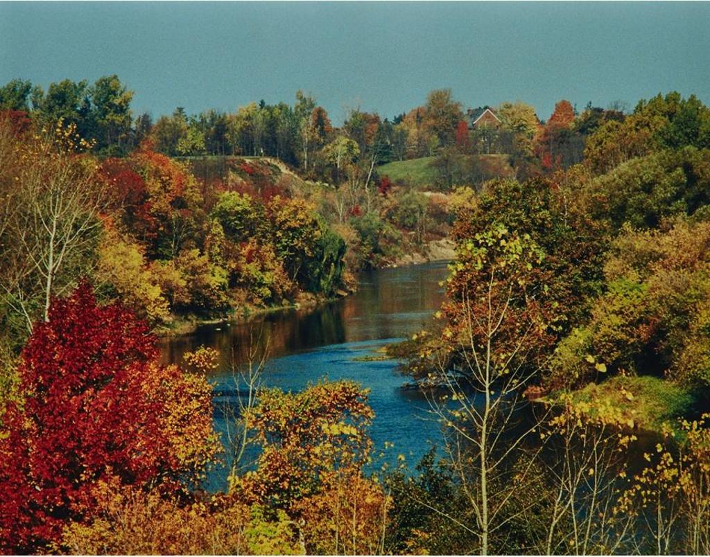 Shelley Niro (1954) - Tutela Heights, 1990