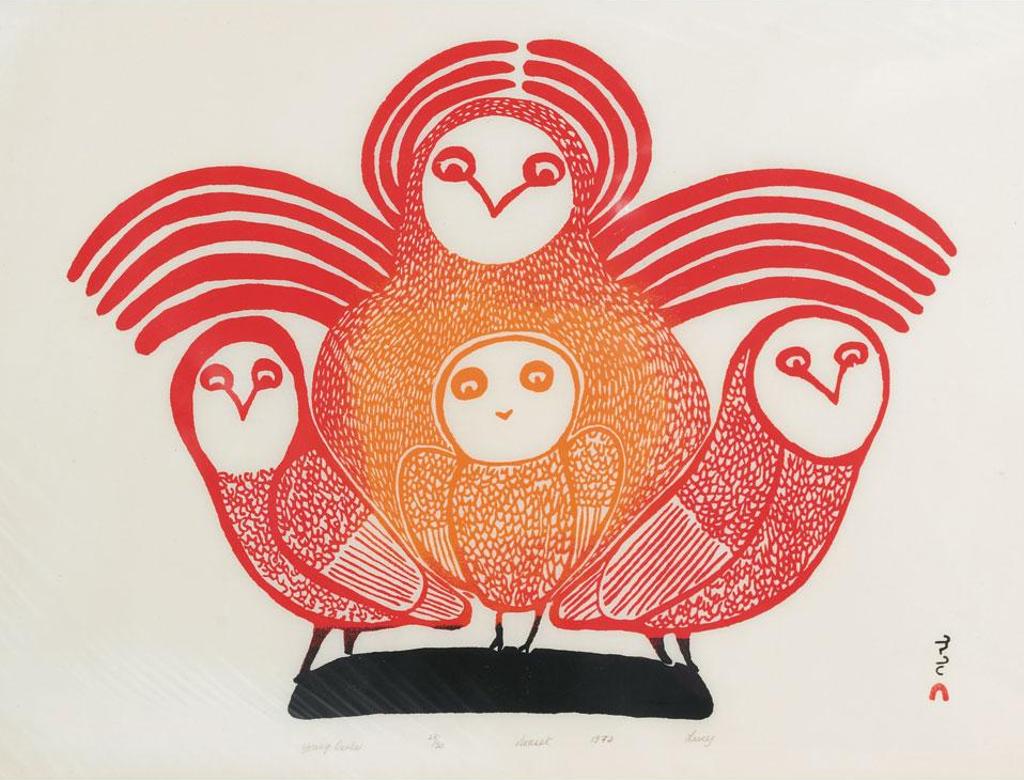 Lucy Qinnuayuak (1915-1982) - Young Owls