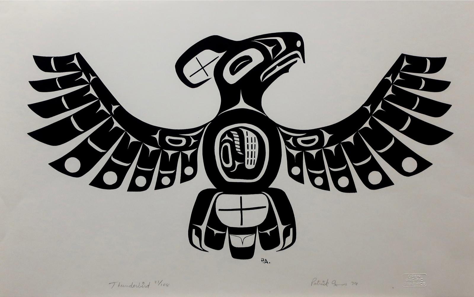 Patrick Amiot (1960) - Thunderbird