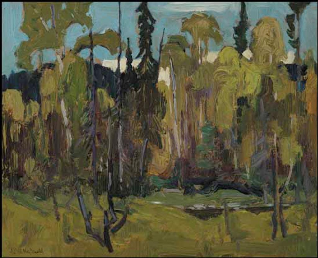 James Edward Hervey (J.E.H.) MacDonald (1873-1932) - Open Bush, Algoma