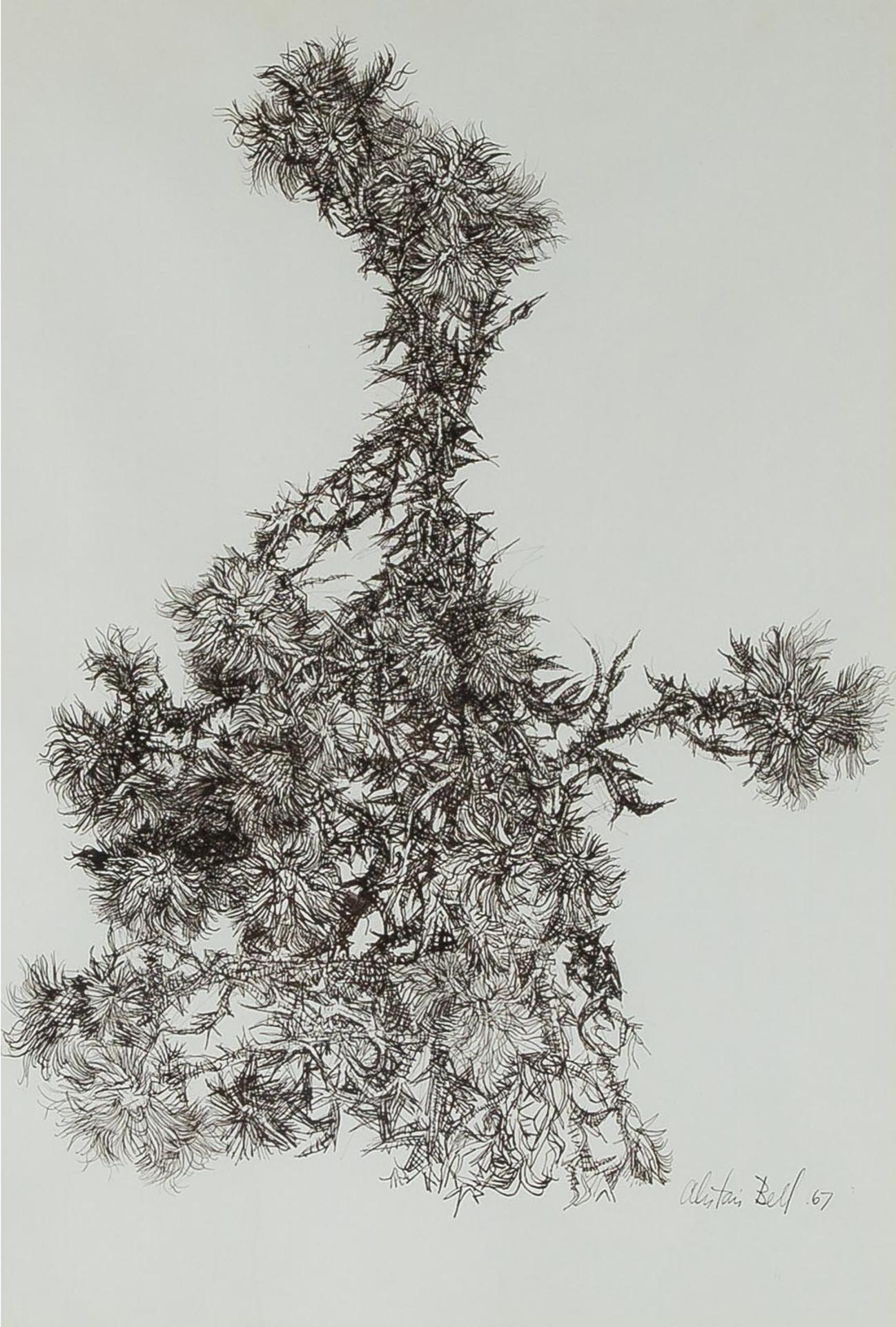 Alistair Macready Bell (1913-1997) - Last Year's Thistles