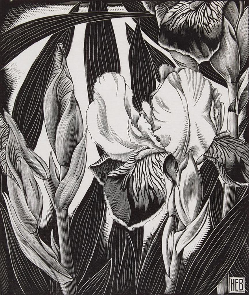 Henry Eric Bergman (1893-1958) - Iris