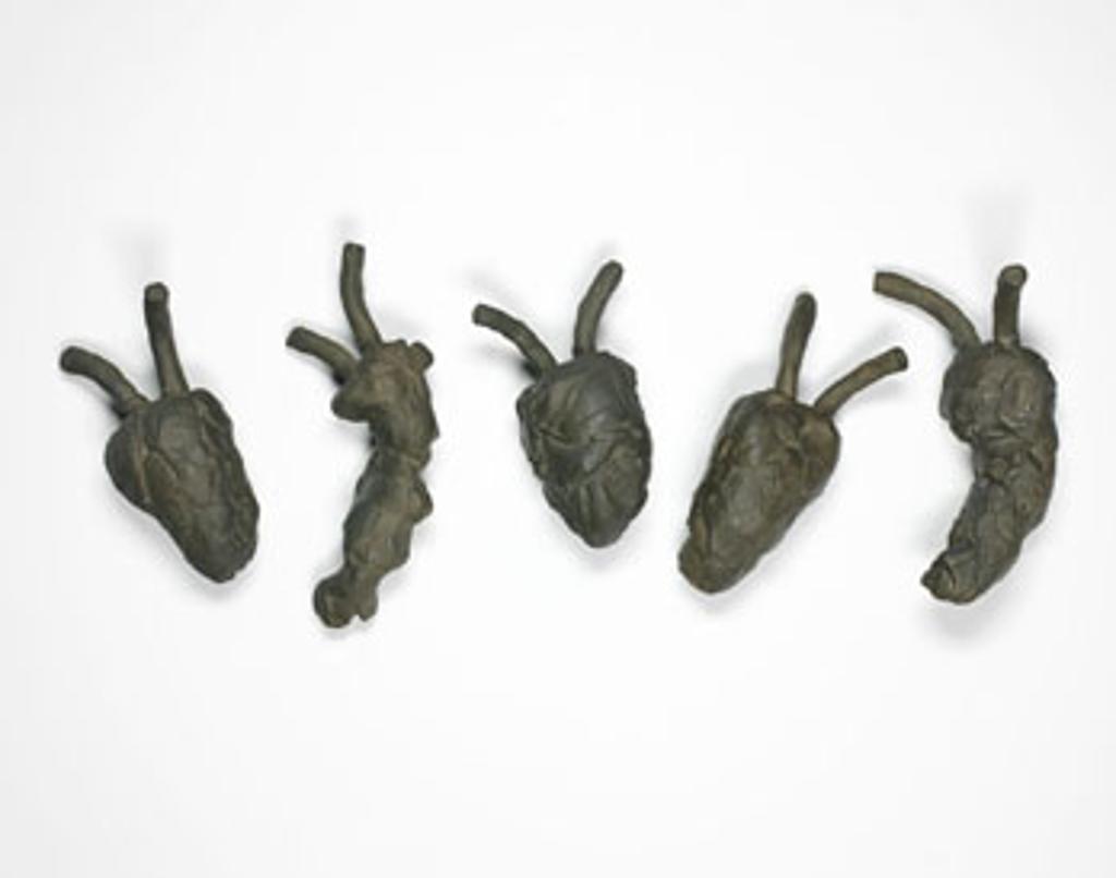 Jana Sterbak - Untitled