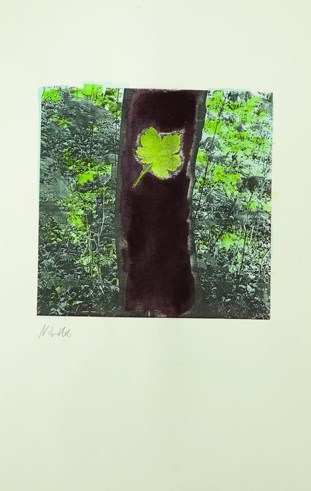 Nils Udo (1937) - Untitled