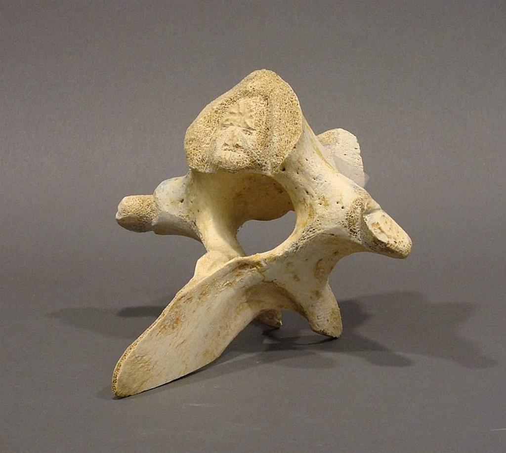 Mosesee Qiyuakyuk (1933) - a whale