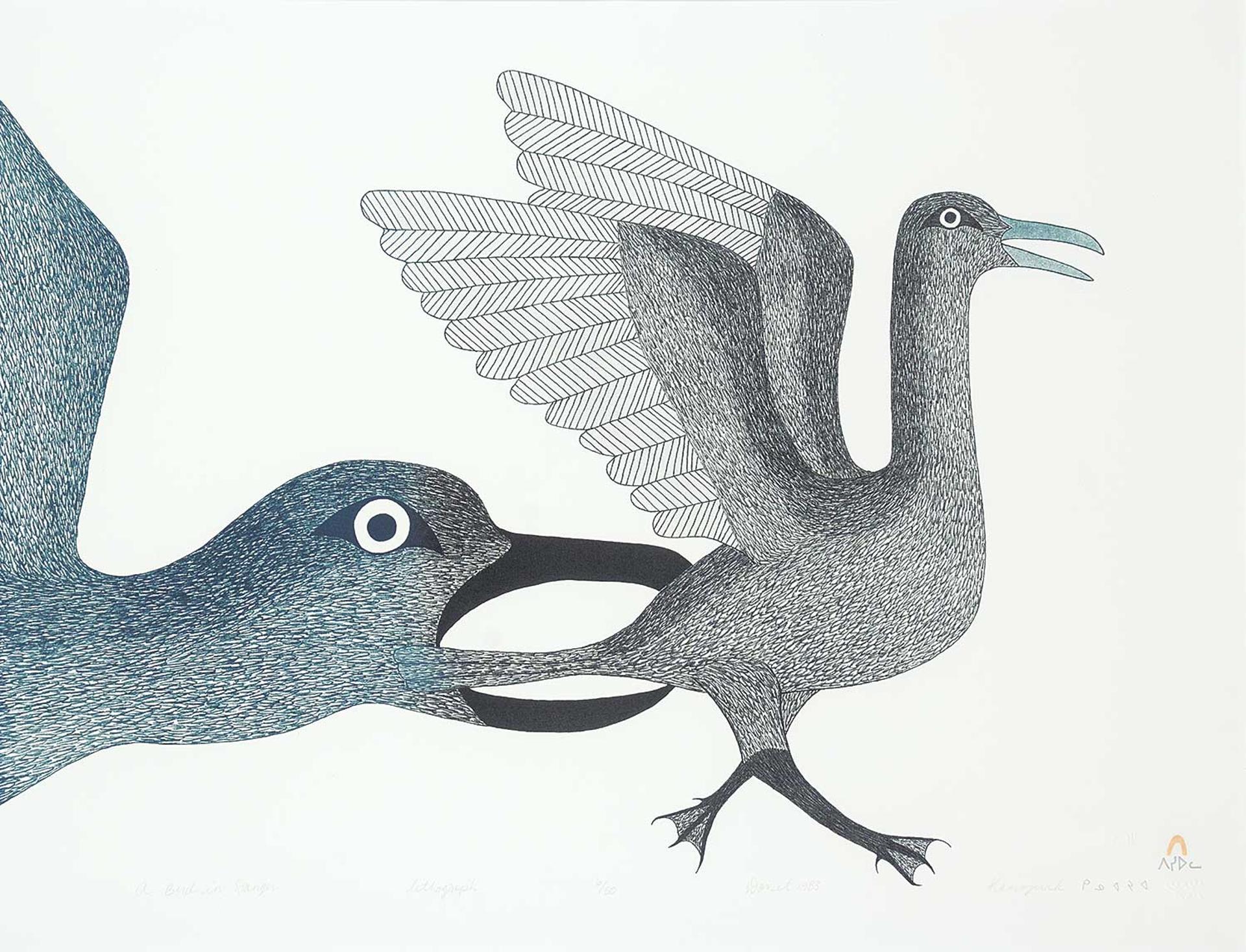 Kenojuak Ashevak (1927-2013) - A Bird in Danger #6/50