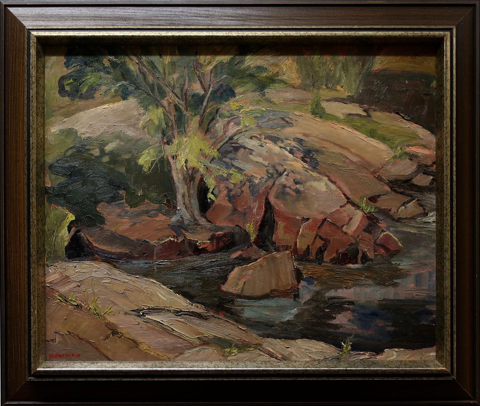 Jean Newman - Rocks, Actinolite #1