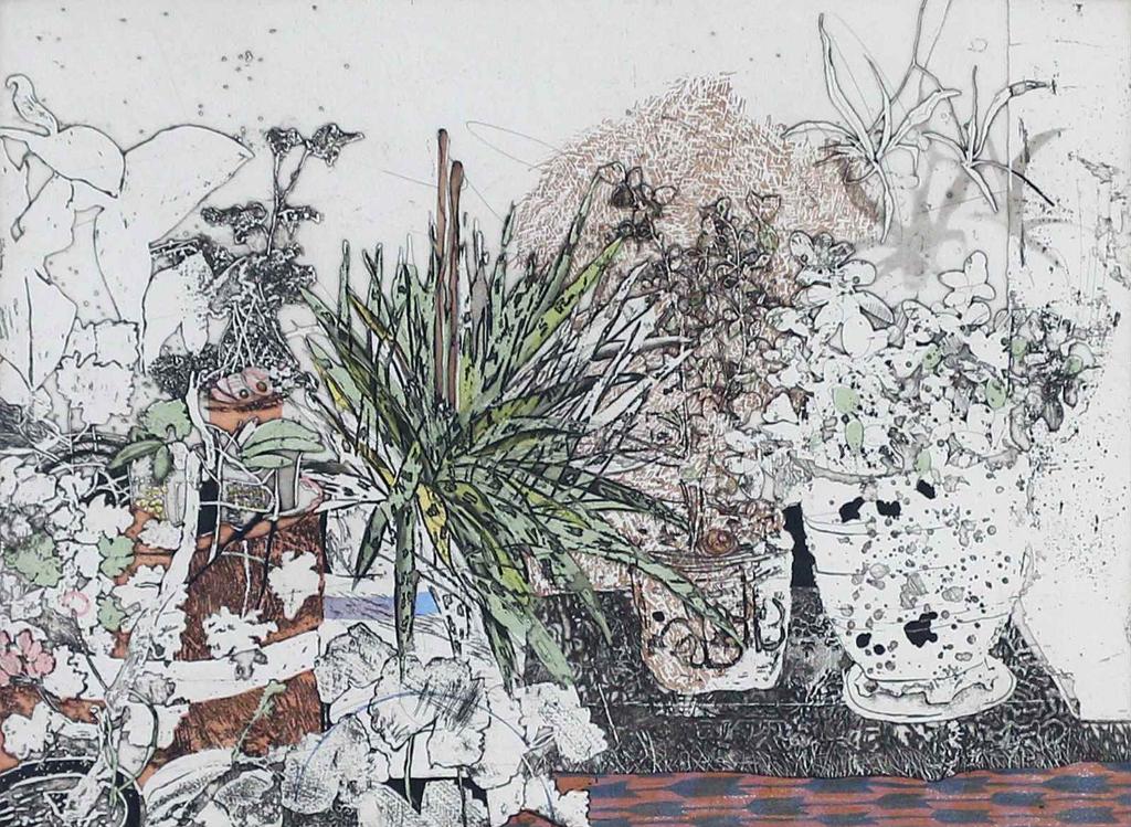 Susan Ford (1944) - The Plant Corner