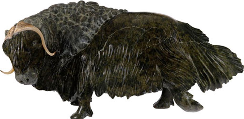 Looty Pijamini (1953) - Muskox