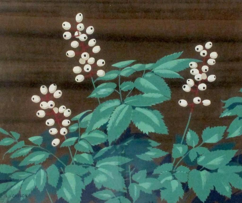 Alfred Joseph (A.J.) Casson (1898-1992) - The White Baneberry