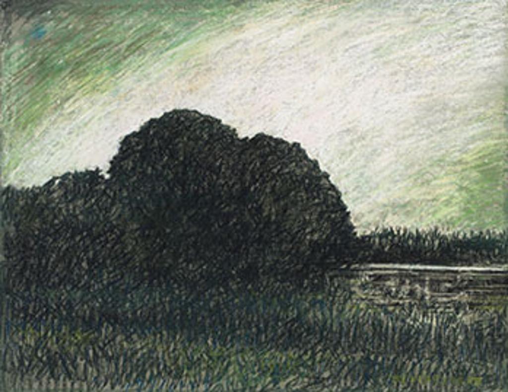 Mary Frances West Pratt (1935-2018) - Northern Lights Over the Salmonier River