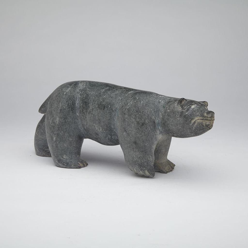 Ron Allikashuak - Exhausted Polar Bear