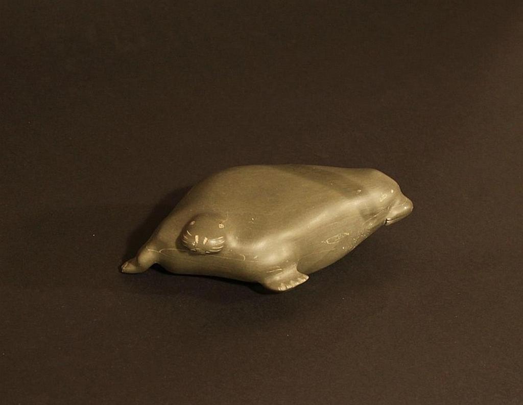 Joshua Sala (1936) - Great Whale River