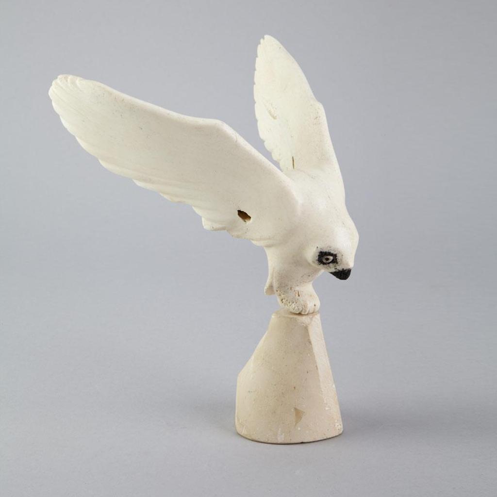 Echalook Taqiasuq - Owl Alighting