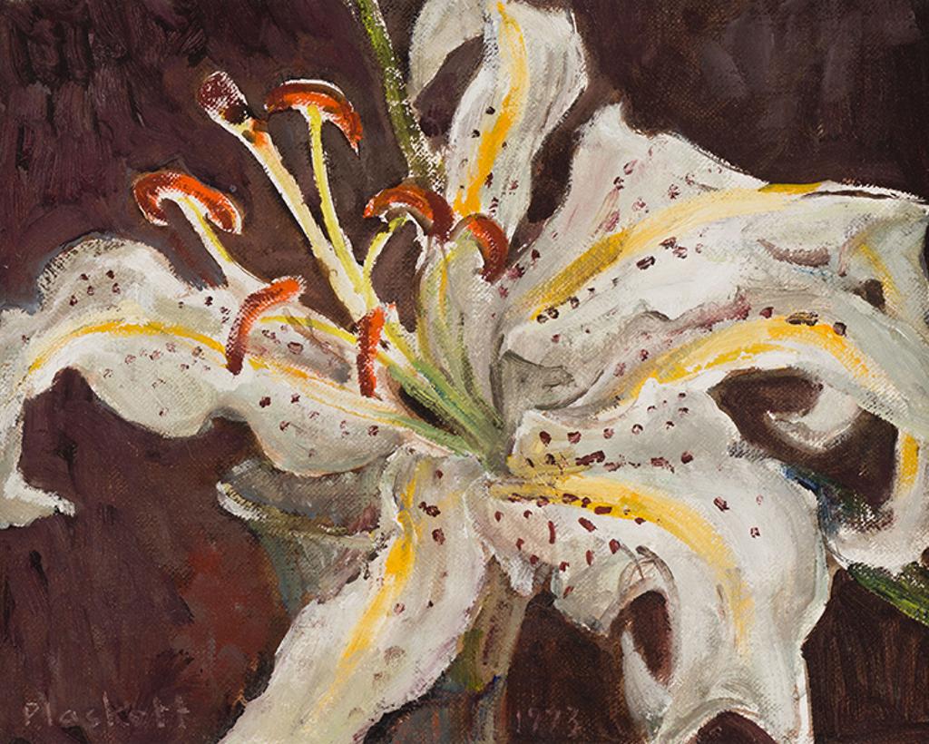 Joseph (Joe) Francis Plaskett (1918-2014) - Tiger Lily