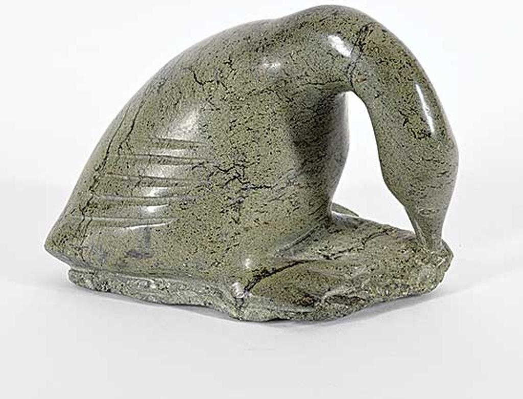 Adamine Pauloosie - Goose