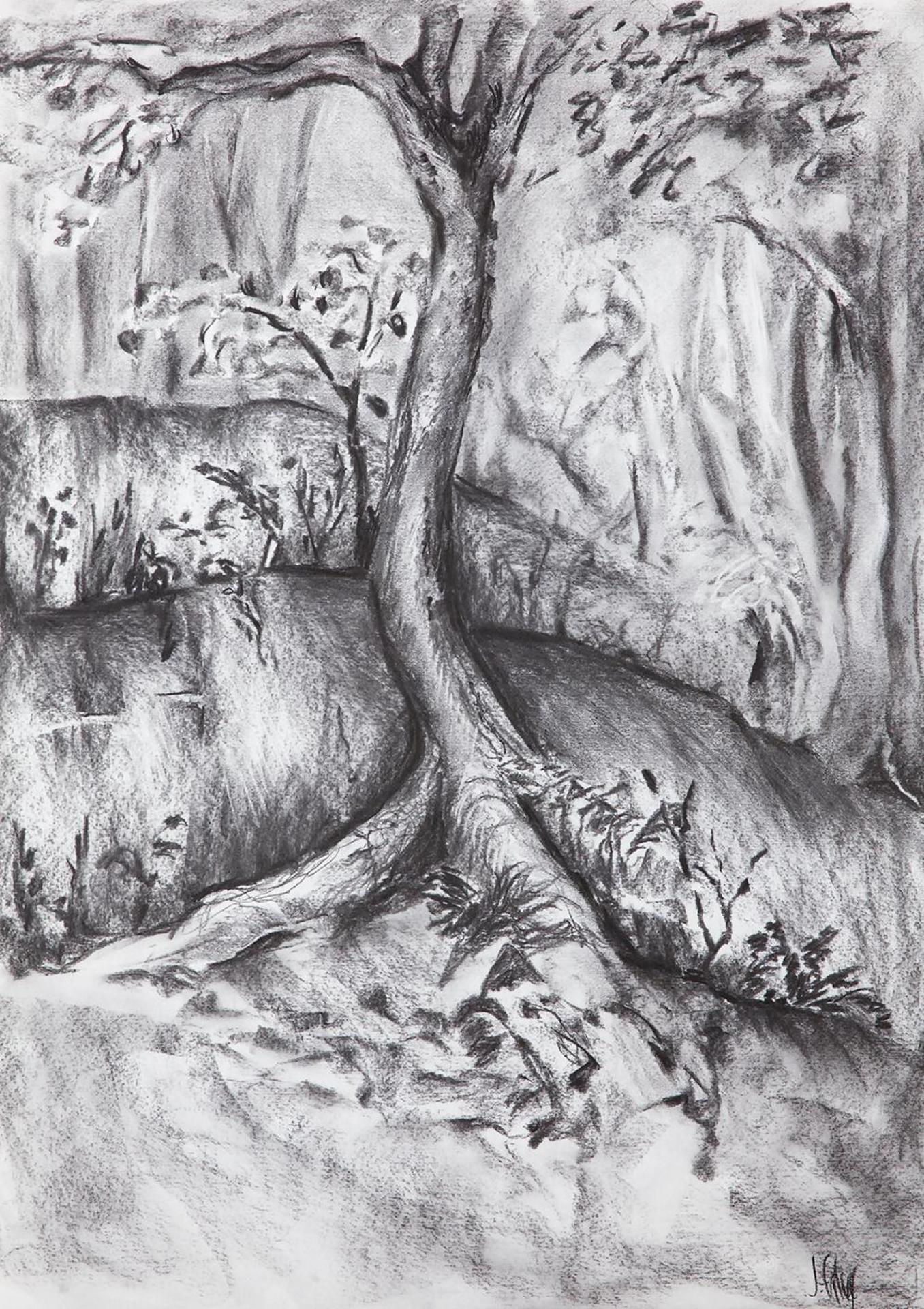 Jennifer Falvy - Forest Study # 6