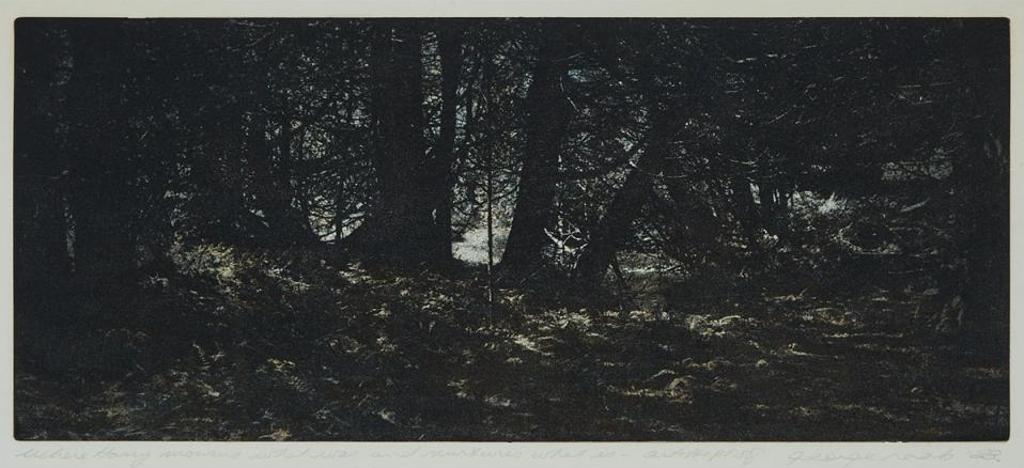 George Raab (1948) - Where Harry Mourns What Was And Nurtures What Is, 1988