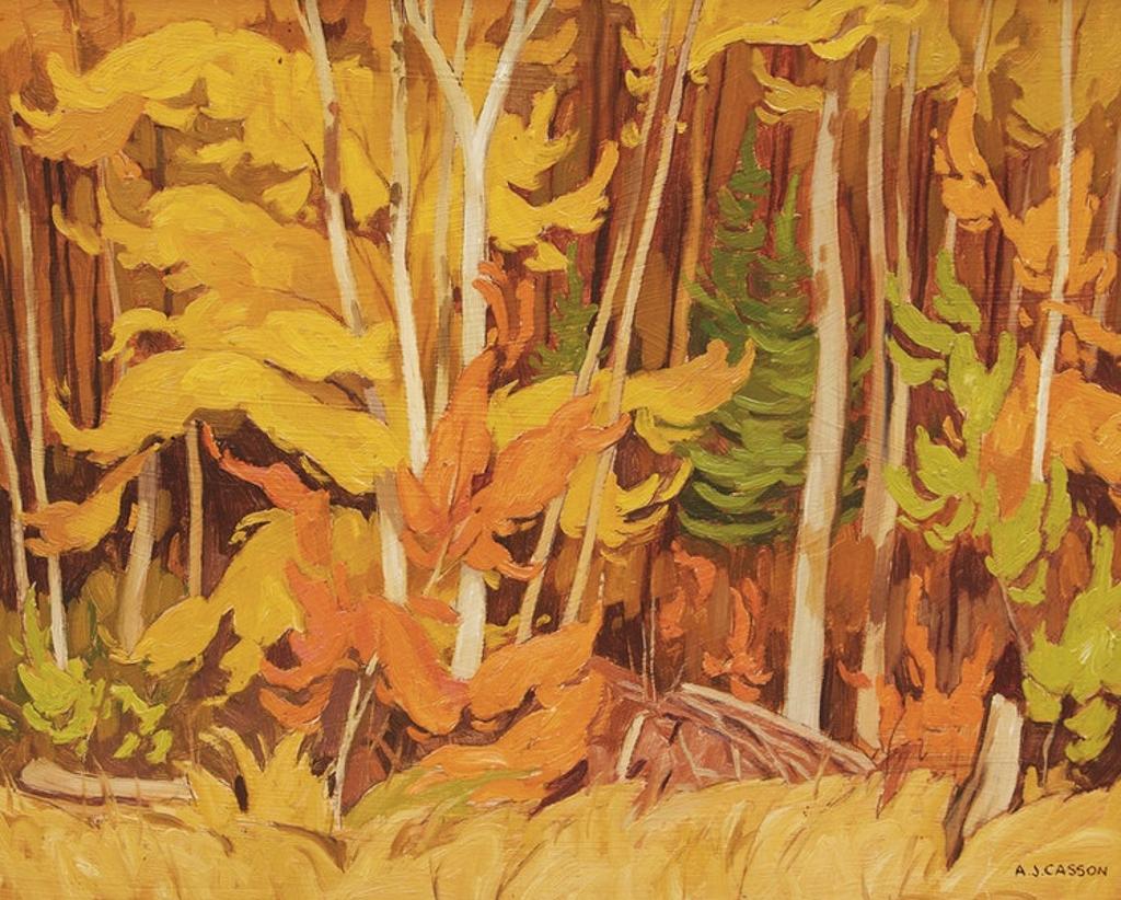 Alfred Joseph (A.J.) Casson (1898-1992) - Autumn Woodland, Combermere