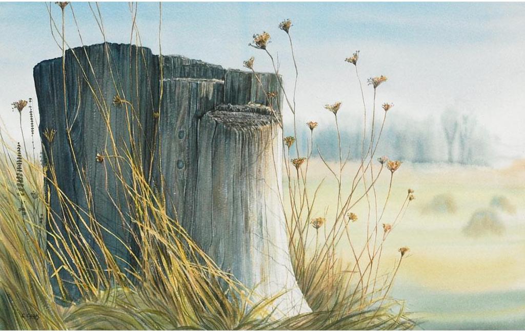 Catherine Cook - Tree Stump