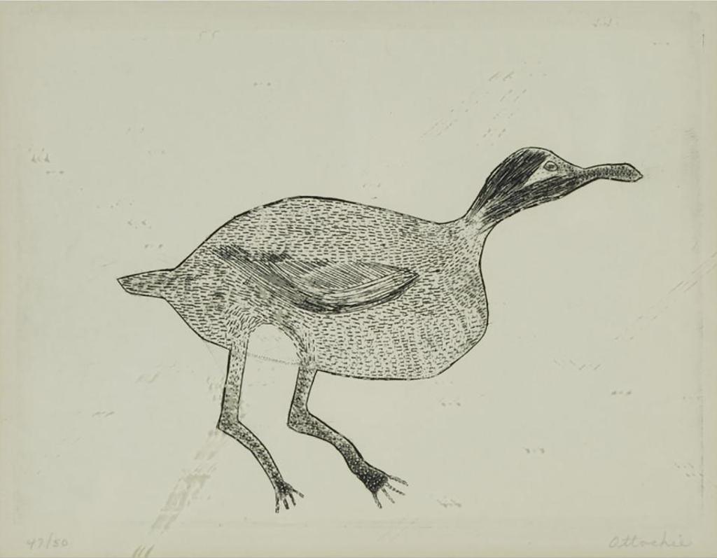 Timothy Ottochie (1904-1982) - Untitled (Duck)