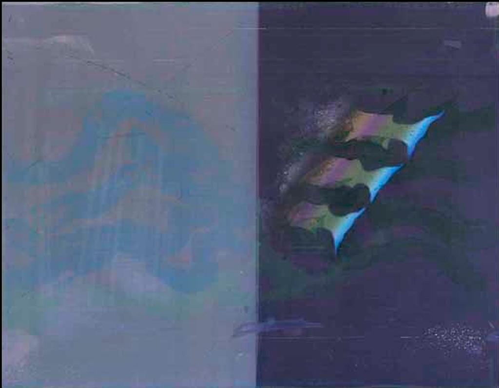 Otis Kazys Tamasauskas (1947) - Three Trout Tails (02458/2013-801)