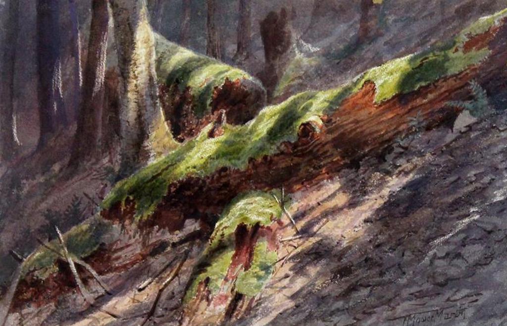 Thomas Mower Martin (1838-1934) - Forest Interior, Logs And Moss