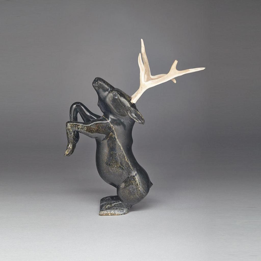 Aqjangajuk (Axangayu) Shaa (1937-2019) - Rearing Caribou