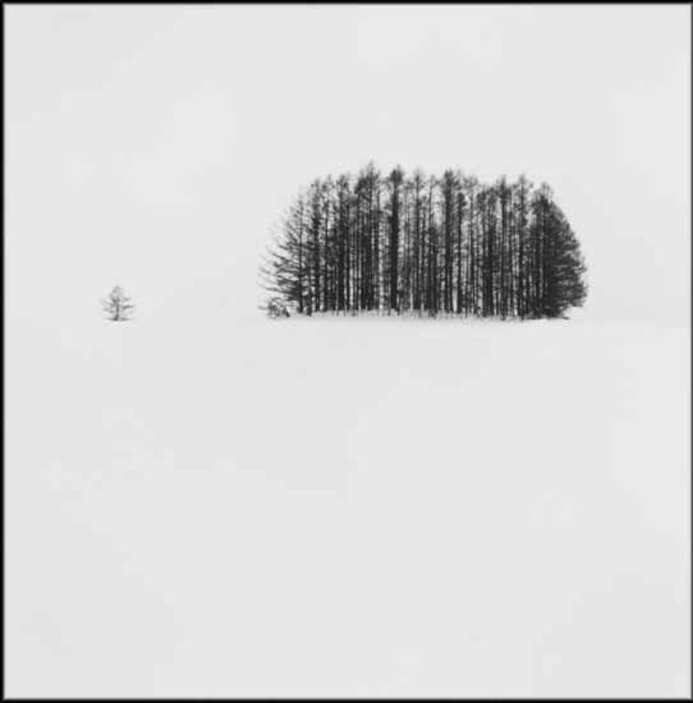 Michael Kenna (1953) - Copse and Tree, Mita, Hokkaido