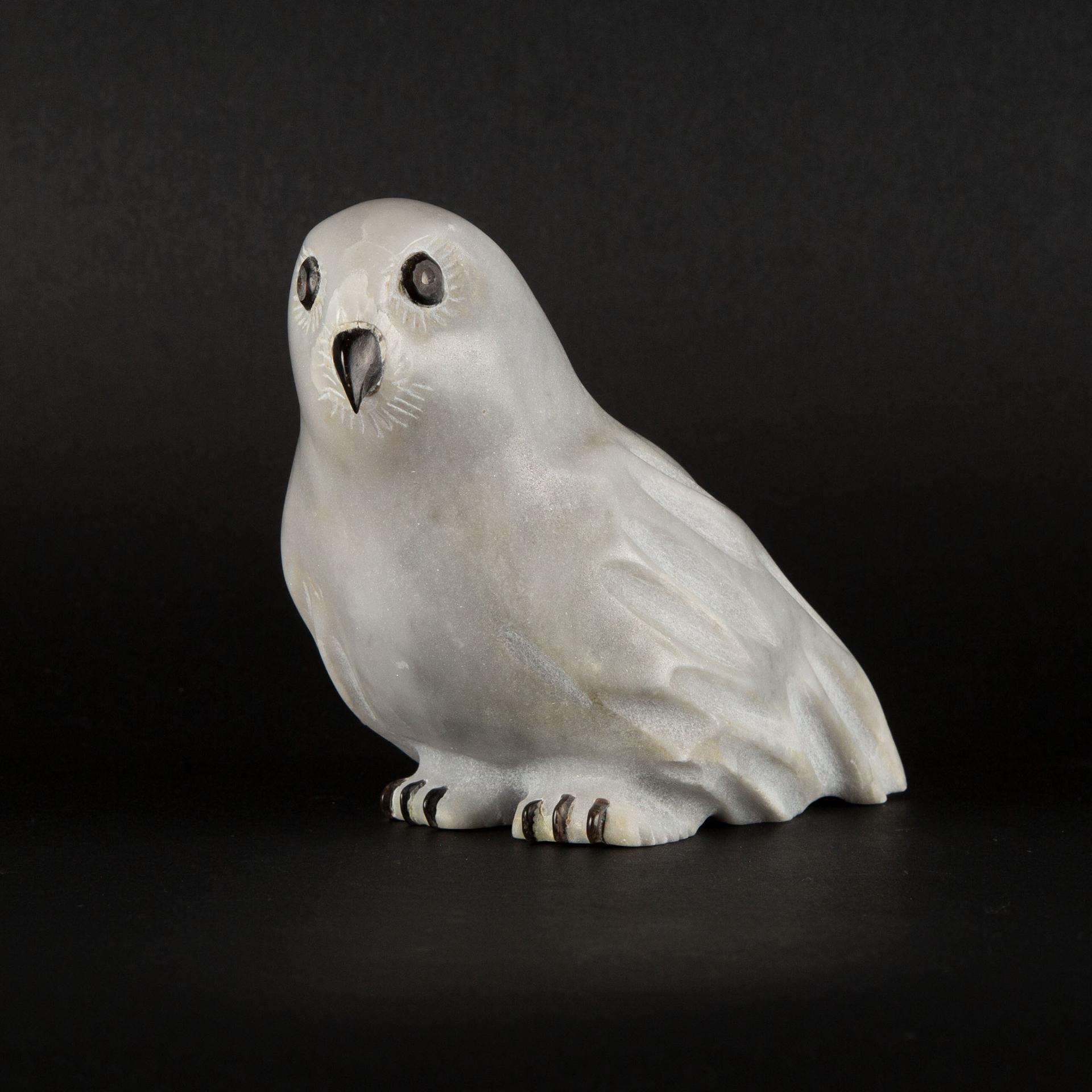 Birt Kimiksana - Bird