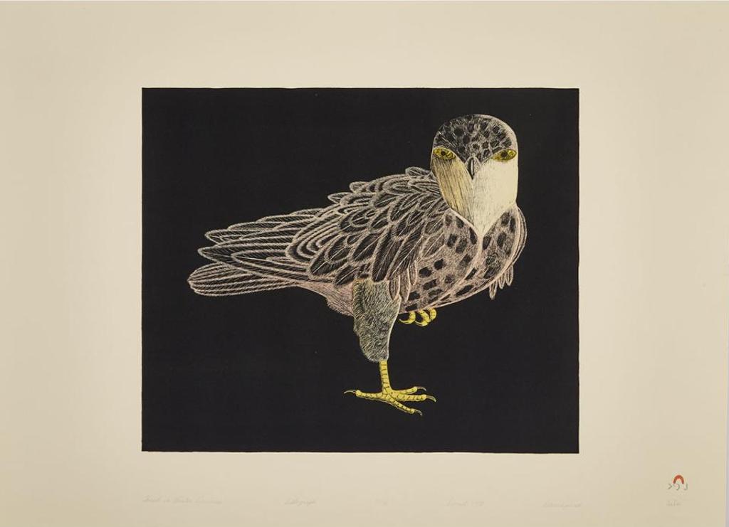 Kananginak Pootoogook (1935-2010) - Hawk In Winter Darkness
