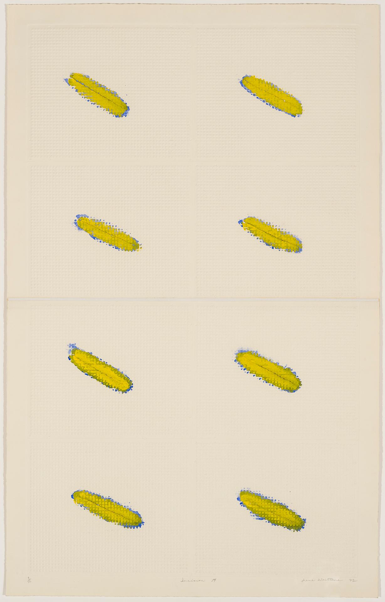 Irene F. Whittome (1942) - Incisions no. 14, 1972