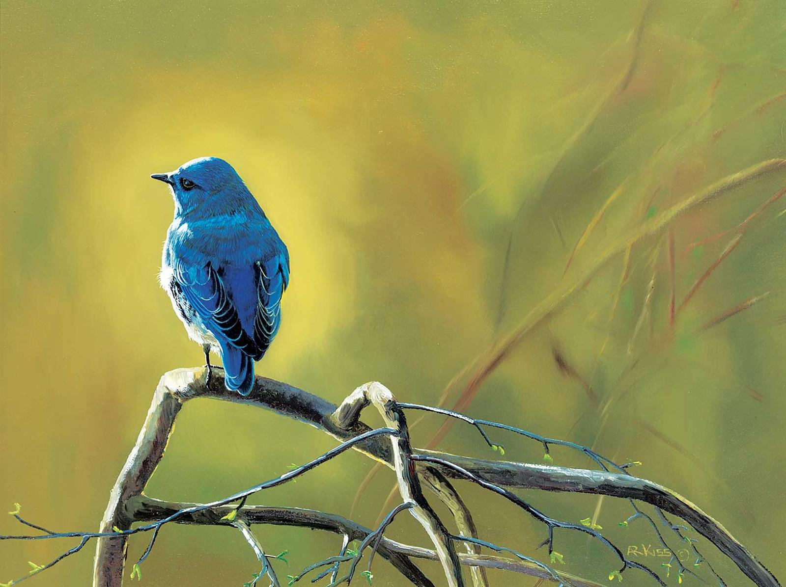 Andrew Kiss (1946) - Blue Bird