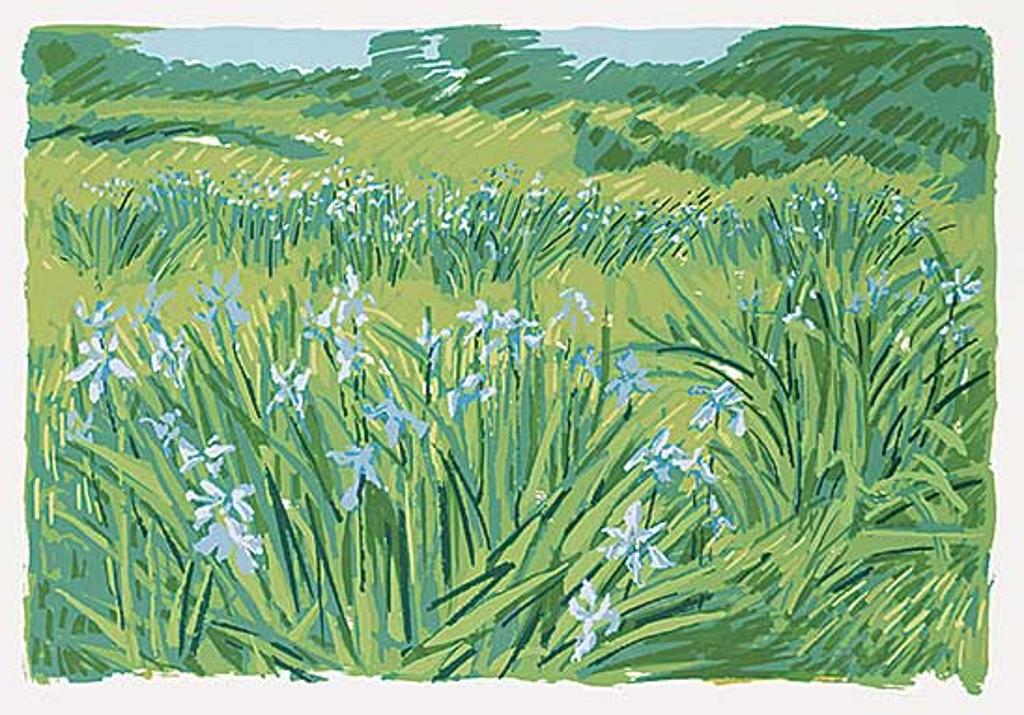 Sandra Rochelle Altwerger (1942) - Newfoundland Field Series #2, Wild Iris #21/25