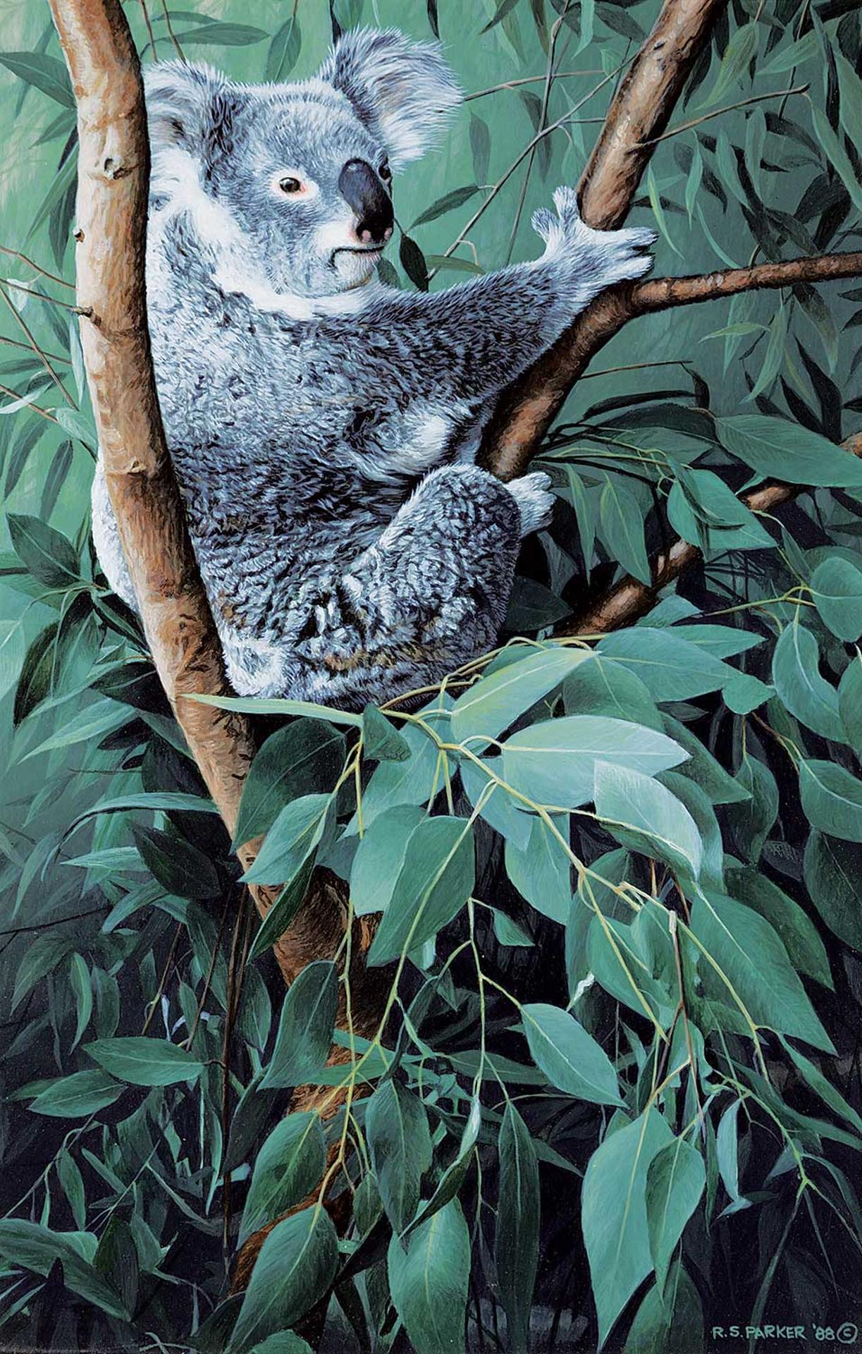 Ronald S. (Ron) Parker (1942) - Untitled - Koala