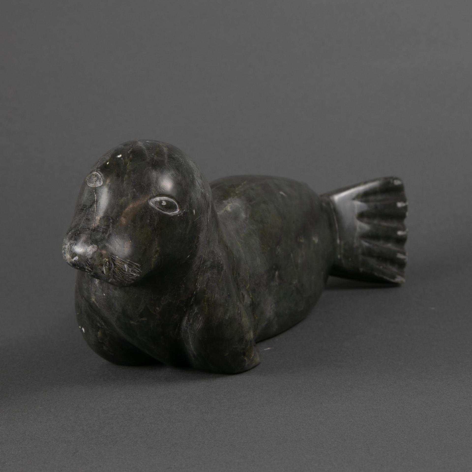 Kasudluak - Seal