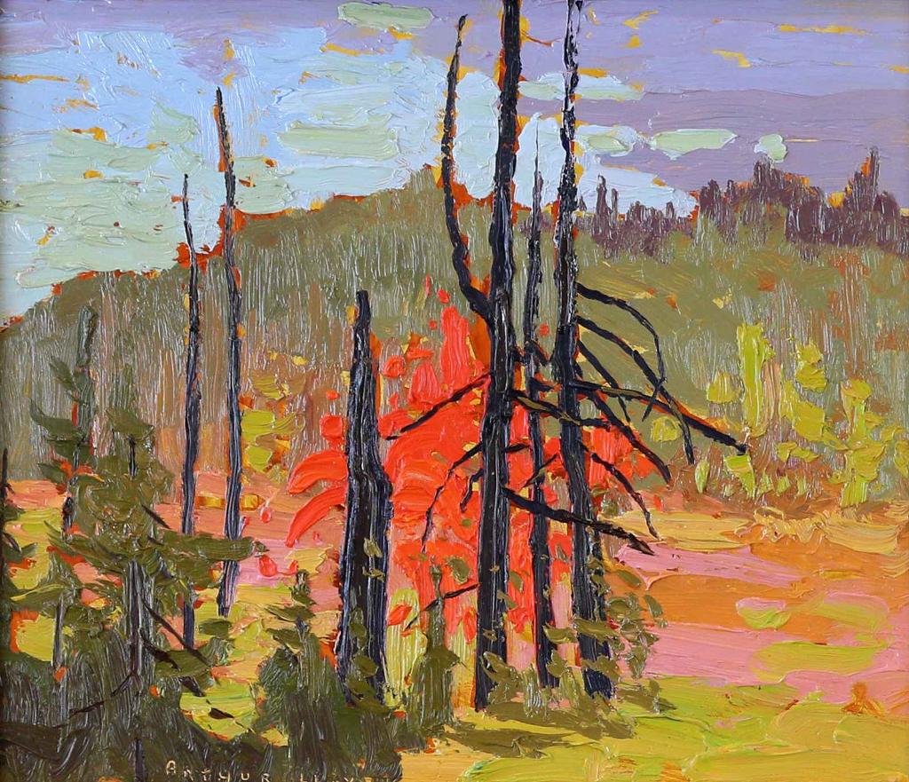 Arthur George Lloy (1929-1986) - Swamp Maple; 1984